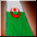 Algeria Flag Cloak