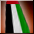 UAE Flag Cloak